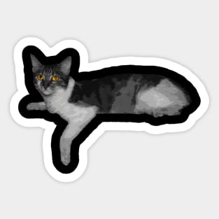 cat with strange eyes Sticker